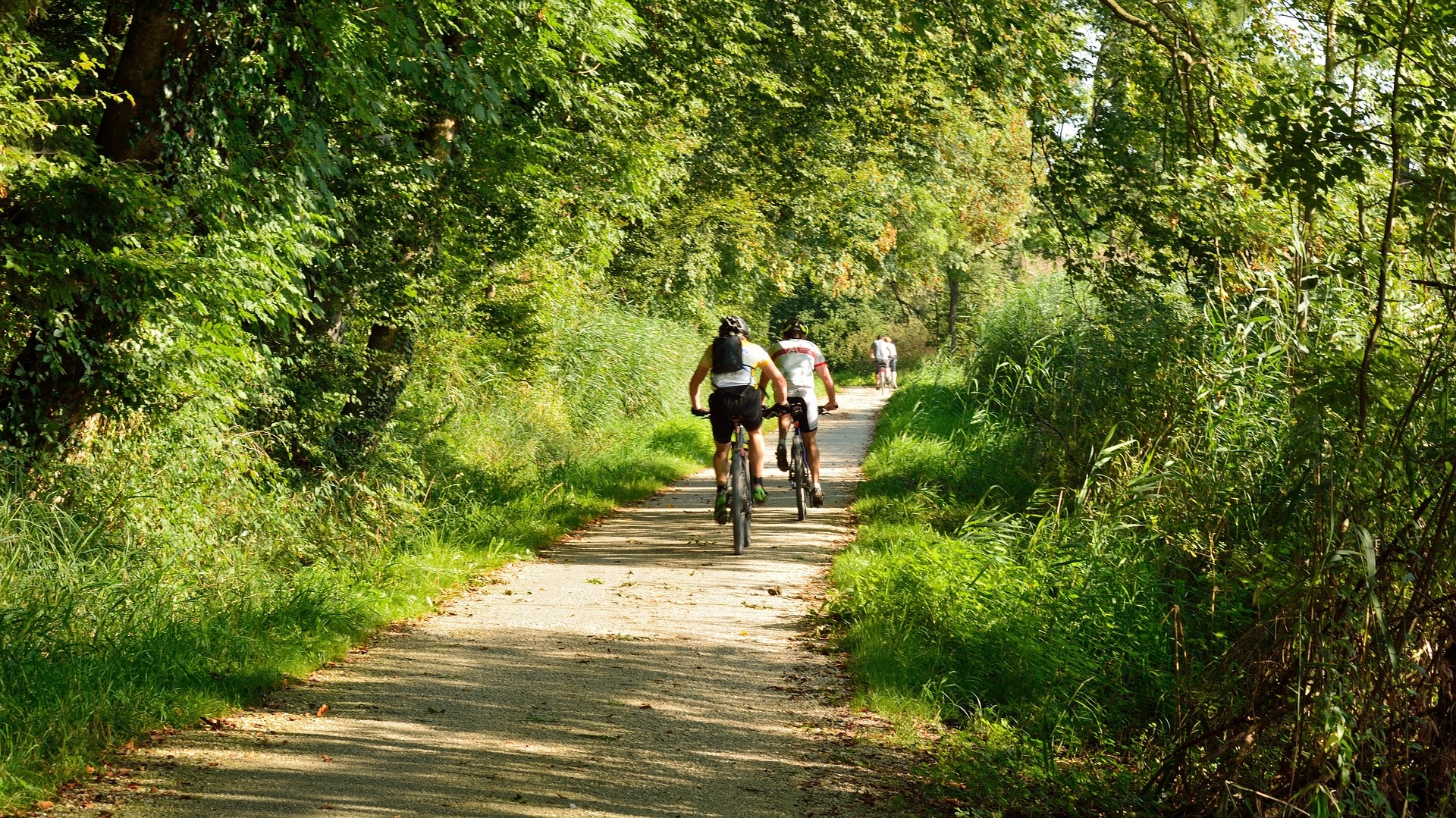 Diagnostic territorial vélo et schéma cyclable Cerema